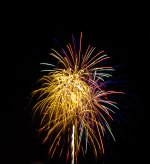 untitled (97 of 151).jpg