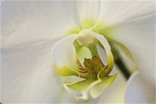 _AAA7187 - Version 3.jpg