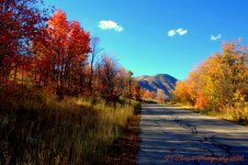 Autumn Lane 10-1-2016.jpg