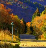 Autumn Lane #2 10-1-2016.jpg