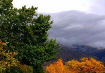 Scene from King 10-3-2016.jpg