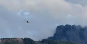 x_IMG_6477.jpg