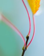 DSC_5973-2-Modifier.jpg