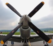 DSCN9229.jpg