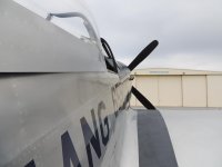 DSCN9225.jpg