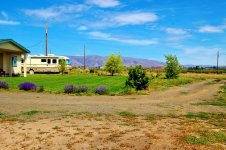 1-YAK HOME (137).JPG