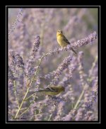 W_DSC_1473.jpg