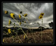 W_DSC_1578.jpg