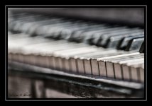 W_DSC_1657.jpg