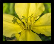 W_DSC_6303.jpg