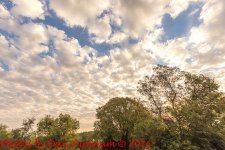 Cloudy Sunrise-4810.jpg