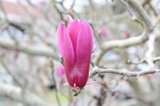DSC_4073.jpg