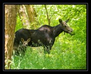 W_DSC_8865.jpg