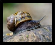 W_DSC_5117.jpg