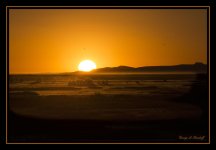 W_DSC_9888.jpg