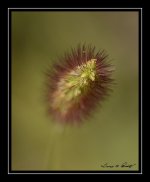 W_DSC_9123.jpg