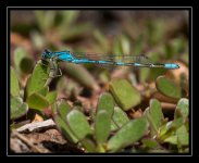 W_DSC_9136.jpg