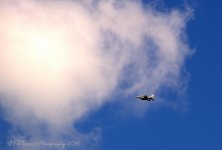 Into the Clouds 10-5-2016.jpg