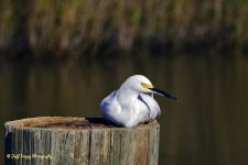_DSC5653.jpg