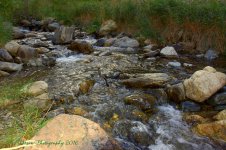 Farmington Creek #3 10-6-2016.jpg