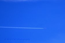 10-6-16-cr__D7K4560.jpg