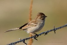 10-6-16-cr__D7K4563.jpg