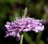 untitled-1-845.jpg