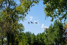 20161008-DSC_0121.jpg