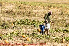 pumpkin patch day-5030.jpg