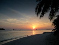 untitled-1-897.jpg