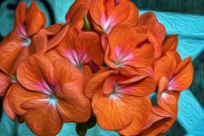 ORANGEFLOWEROIL.jpg