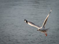 untitled-1-348.jpg