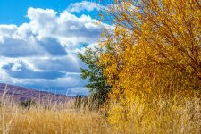1-DSC_0180.jpg