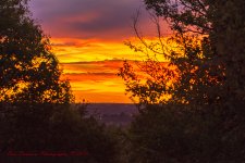 good morning-5163.jpg