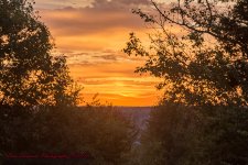 good morning-5195-HDR.jpg