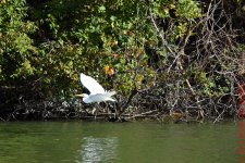20161009-DSC_0278.jpg