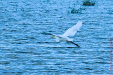 20161009-DSC_0346.jpg