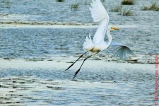 20161009-DSC_0345.jpg