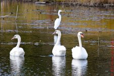20161009-DSC_0065.jpg