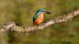 DSC_1348.jpg