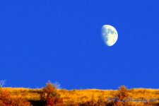 Moon at Sunset 10-11-2016.jpg