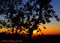 Sunset 10-11-2016.jpg