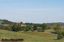 Road Trip-5228.jpg