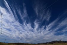 10-12-16_DSC_4246-cr-copy.jpg