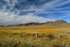 10-12-16-cr_DSC_4238.jpg