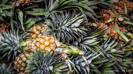 pineapples.jpg