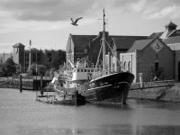 P1090796bw.jpg