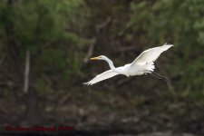 Taylorsville Lake-5577.jpg