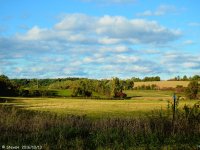 DSCN1250.jpg