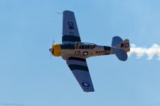 500_0392_DxO.jpg